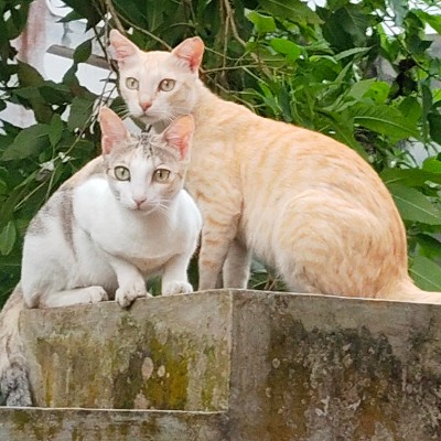 ๐ Daizy ๐ DODDAIAH . E เฒฌเณเฒเฒเฒณเณเฒฐเณ post image