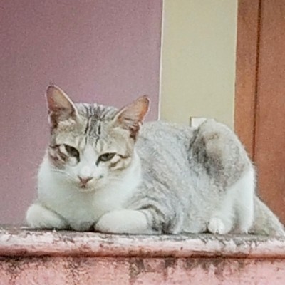 DELAVIVA DODDAIAH . E ಬೆಂಗಳೂರು post image