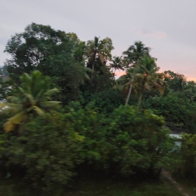 Freunde von Lena DODDAIAH . E ಬೆಂಗಳೂರು post image