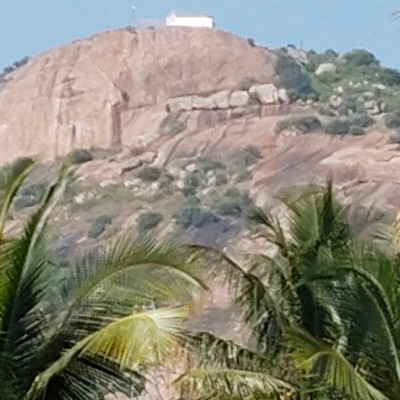 Rose,🍀🌹 🌹🌹🌹🌹🌹🌹 🌹 💁‍♀️ DODDAIAH . E ಬೆಂಗಳೂರು post image