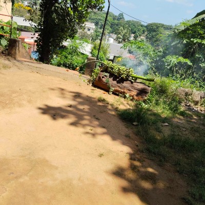 🖤❤️ Fearless Walkers 🖤❤️ DODDAIAH . E ಬೆಂಗಳೂರು post image