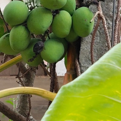 Naïma’s friends DODDAIAH . E ಬೆಂಗಳೂರು post image