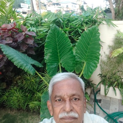 Inner Circle DODDAIAH . E ಬೆಂಗಳೂರು post image