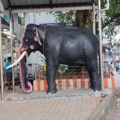 🤩 Fit for Fun 🤩 DODDAIAH . E ಬೆಂಗಳೂರು post image