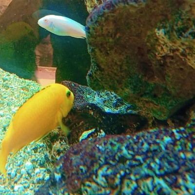 ADORABLE MUM DODDAIAH . E ಬೆಂಗಳೂರು post image