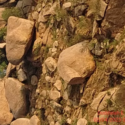 Walking Buddies ππ«π«π£π΅ DODDAIAH . E ಬΰ³ΰ²ΰ²ΰ²³ΰ³ΰ²°ΰ³ post image