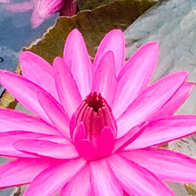 🔥10 000 Daily🔥 DODDAIAH . E ಬೆಂಗಳೂರು post image