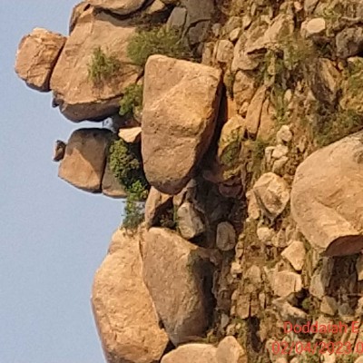 Walking Buddies ππ«π«π£π΅ DODDAIAH . E ಬΰ³ΰ²ΰ²ΰ²³ΰ³ΰ²°ΰ³ post image