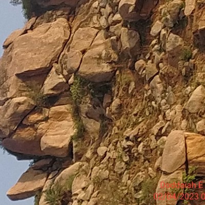 Walking Buddies ππ«π«π£π΅ DODDAIAH . E ಬΰ³ΰ²ΰ²ΰ²³ΰ³ΰ²°ΰ³ post image