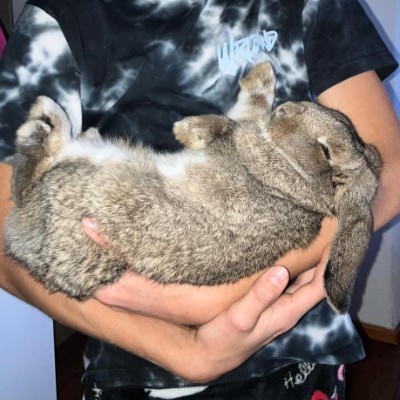 Walk in Great America DODDAIAH . E ಬೆಂಗಳೂರು post image