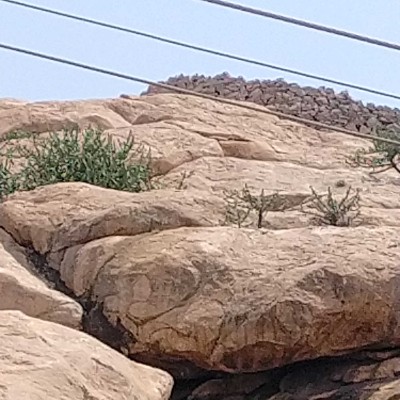 10,000 steps/day for Weight Loss DODDAIAH . E ಬೆಂಗಳೂರು post image