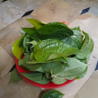 ChallengeFriends🌍🌎🌏 DODDAIAH . E ಬೆಂಗಳೂರು post image