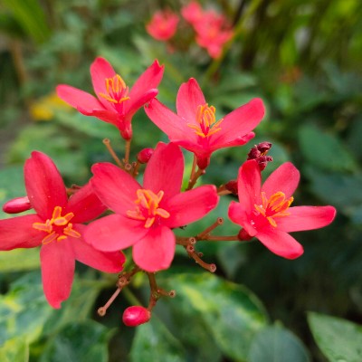 December 5k Race #4 DODDAIAH . E ಬೆಂಗಳೂರು post image