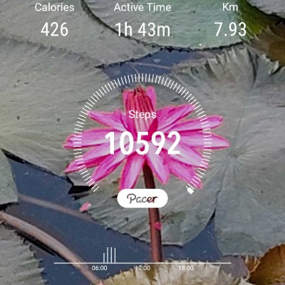 🌍🌏🌎Earth🌍🌏🌎Friends🌍🌏🌎 DODDAIAH . E ಬೆಂಗಳೂರು post image