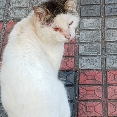 Lagos Steady Walkers ... DODDAIAH . E ಬೆಂಗಳೂರು post image