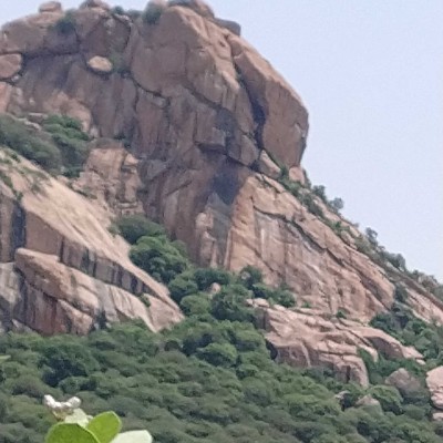 10,000 steps/day for Weight Loss DODDAIAH . E ಬೆಂಗಳೂರು post image