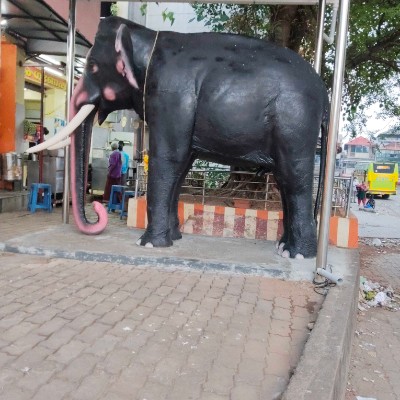 🤩 Fit for Fun 🤩 DODDAIAH . E ಬೆಂಗಳೂರು post image