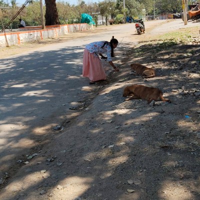 Walk for Live DODDAIAH . E ಬೆಂಗಳೂರು post image