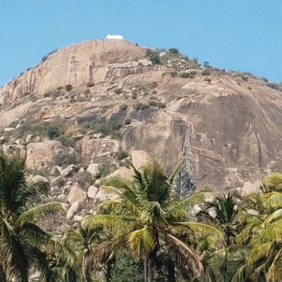 Walk for Live DODDAIAH . E ಬೆಂಗಳೂರು post image