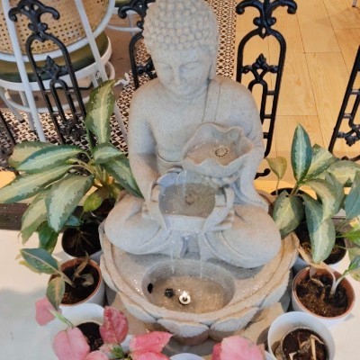 Rose 🌹 candace DODDAIAH . E ಬೆಂಗಳೂರು post image