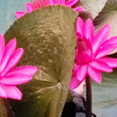 InTheOutdoors of Nature DODDAIAH . E ಬೆಂಗಳೂರು post image