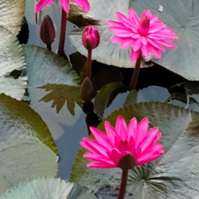 Family DODDAIAH . E ಬೆಂಗಳೂರು post image