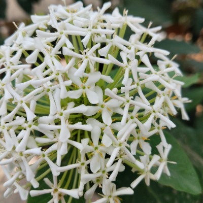 InTheOutdoors of Nature DODDAIAH . E ಬೆಂಗಳೂರು post image