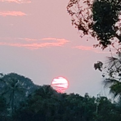 Witness the fitness DODDAIAH . E ಬೆಂಗಳೂರು post image