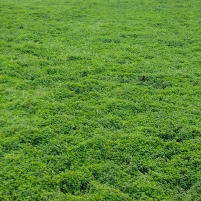 More Active Group DODDAIAH . E ಬೆಂಗಳೂರು post image