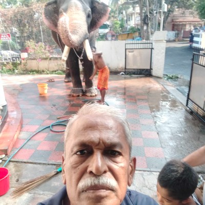 cochin fitness freaks DODDAIAH . E ಬೆಂಗಳೂರು post image