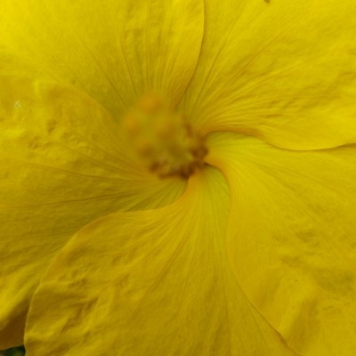 Self Motivated 🏃 DODDAIAH . E ಬೆಂಗಳೂರು post image