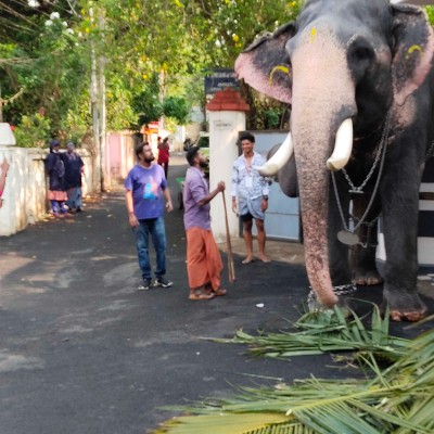 InTheOutdoors of Nature DODDAIAH . E ಬೆಂಗಳೂರು post image