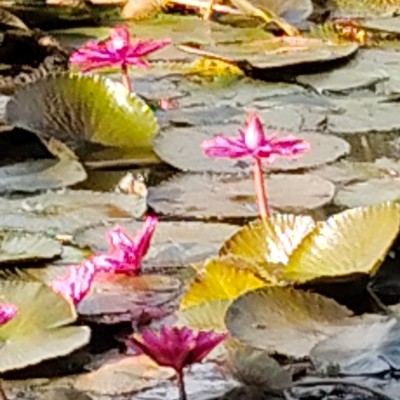 pesi passi e nutrizione.... DODDAIAH . E ಬೆಂಗಳೂರು post image