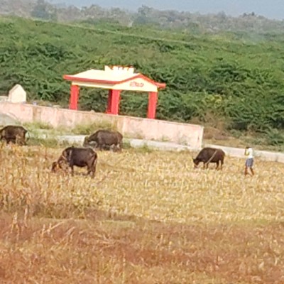 ♡India 🇮🇳 ~Belgium 🇧🇪 Group♡ DODDAIAH . E ಬೆಂಗಳೂರು post image