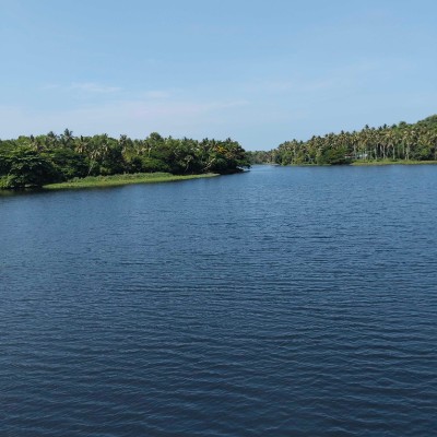 paw patrol marshall DODDAIAH . E ಬೆಂಗಳೂರು post image