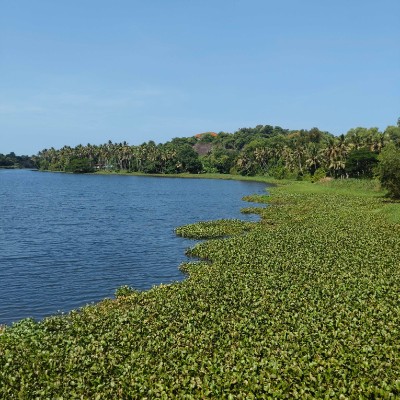 paw patrol marshall DODDAIAH . E ಬೆಂಗಳೂರು post image