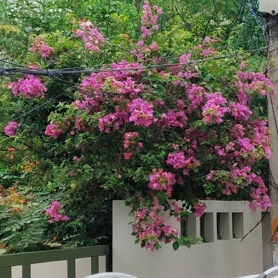 Self Motivated 🏃 DODDAIAH . E ಬೆಂಗಳೂರು post image