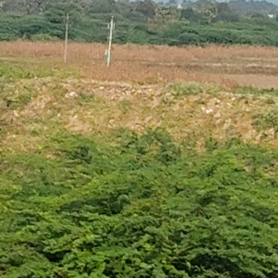 ♡India 🇮🇳 ~Belgium 🇧🇪 Group♡ DODDAIAH . E ಬೆಂಗಳೂರು post image