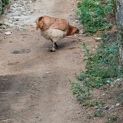 abel fitness chal3 DODDAIAH . E ಬೆಂಗಳೂರು post image