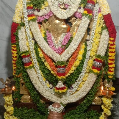 💙💙 DaisyEye💜💜 DODDAIAH . E ಬೆಂಗಳೂರು post image