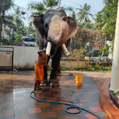 cochin fitness freaks DODDAIAH . E ಬೆಂಗಳೂರು post image