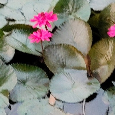 Walk on Your Way DODDAIAH . E ಬೆಂಗಳೂರು post image