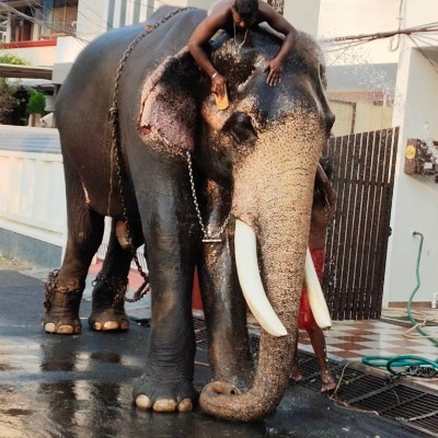 DFW Marathi Fitness DODDAIAH . E ಬೆಂಗಳೂರು post image