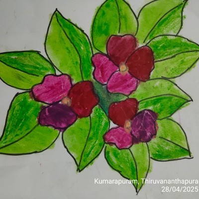 Arcane! DODDAIAH . E ಬೆಂಗಳೂರು post image