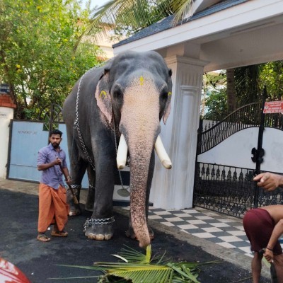 InTheOutdoors of Nature DODDAIAH . E ಬೆಂಗಳೂರು post image