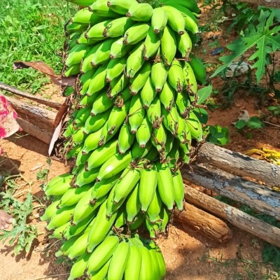 Anime Fans 🪭! DODDAIAH . E ಬೆಂಗಳೂರು post image