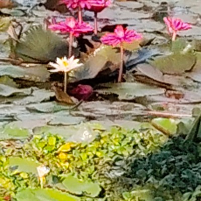 pesi passi e nutrizione.... DODDAIAH . E ಬೆಂಗಳೂರು post image