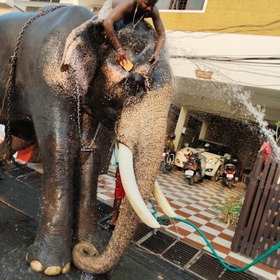 DFW Marathi Fitness DODDAIAH . E ಬೆಂಗಳೂರು post image