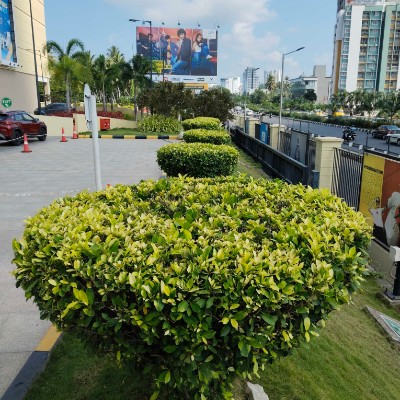 Spas modi DODDAIAH . E ಬೆಂಗಳೂರು post image