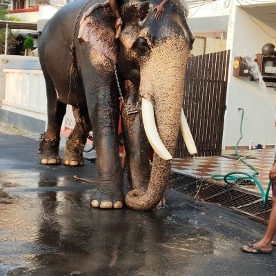 DFW Marathi Fitness DODDAIAH . E ಬೆಂಗಳೂರು post image